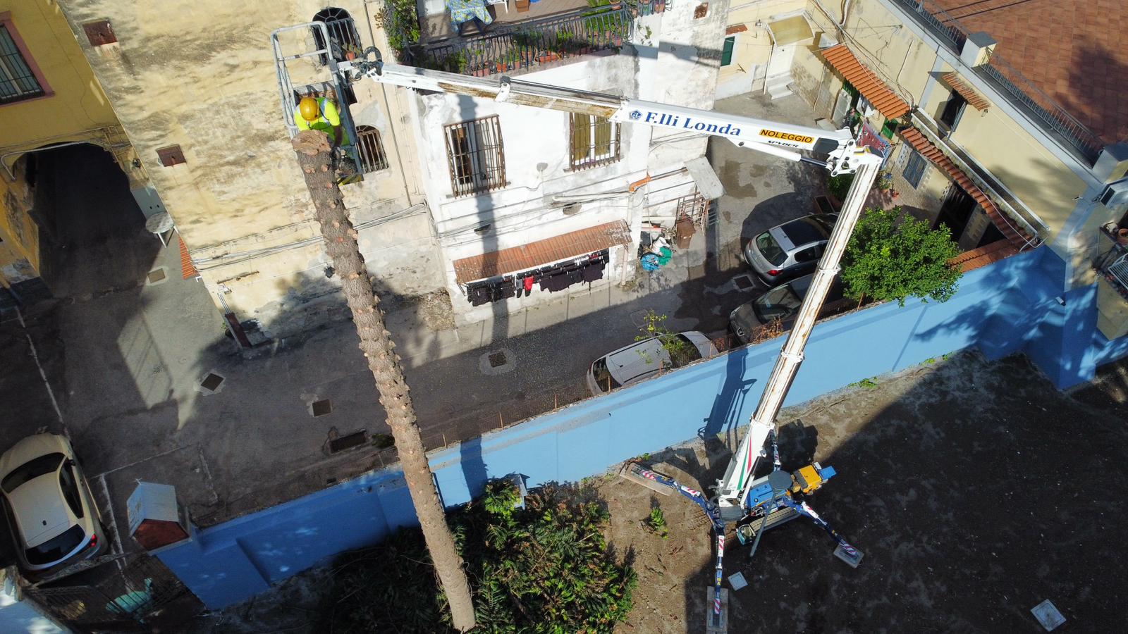 Abbattimento pianta Portici