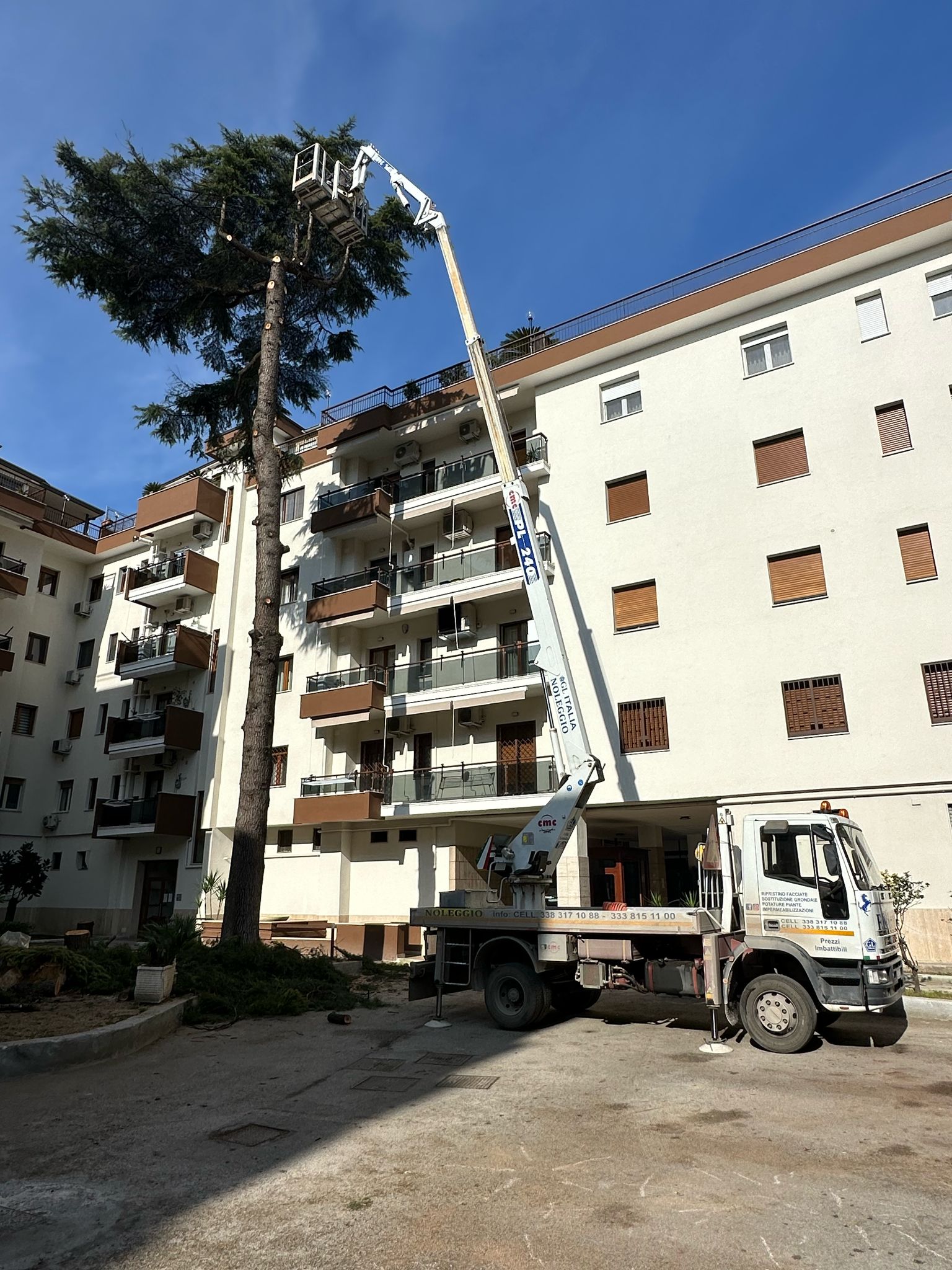 Abbattimento Pianta Alto Fusto presso Condominio Frattamaggiore (Na)