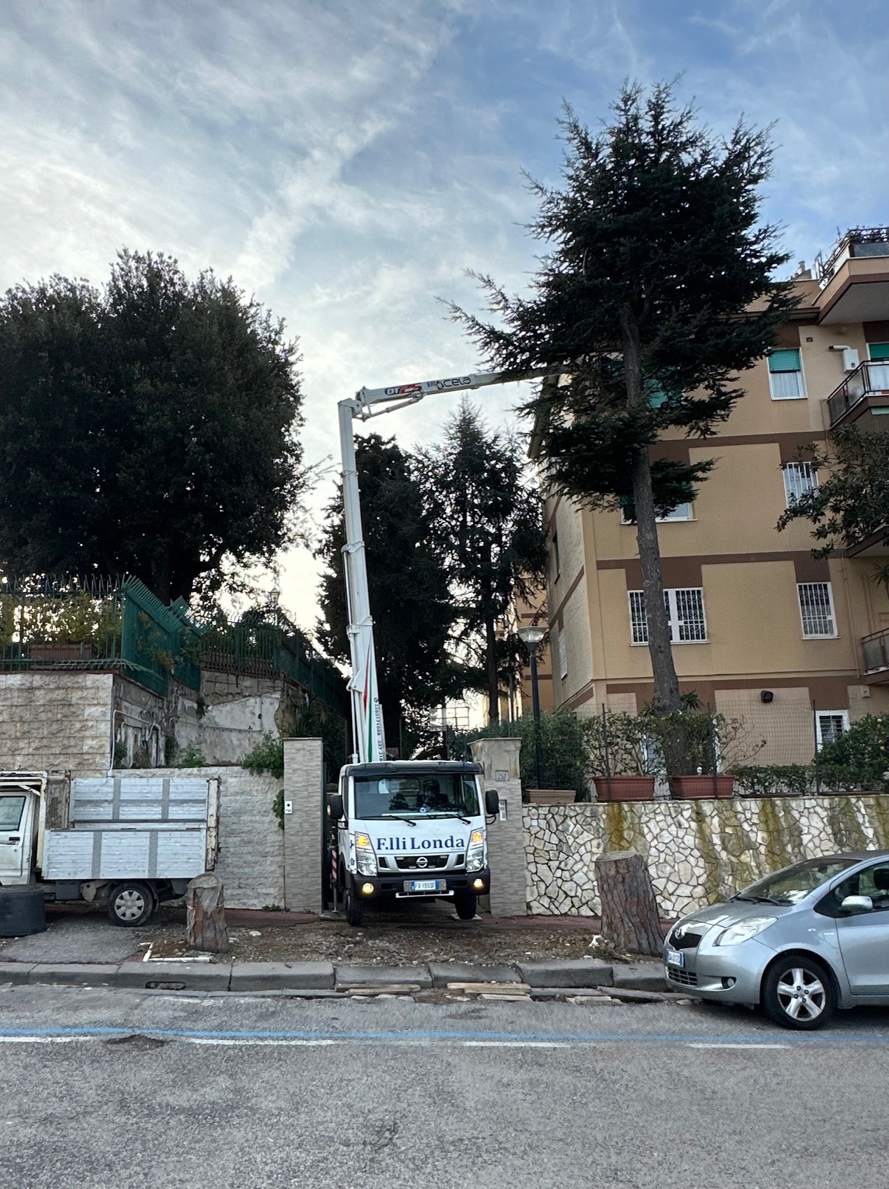 Per potare alberi affidati a noi con le nostre piattaforme aeree sicure e prestazionali